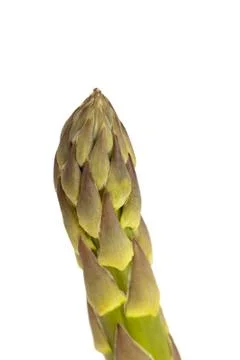 Asparagus Leaf Stock Photos