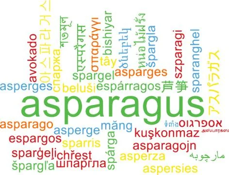 Asparagus multilanguage wordcloud background concept Stock Illustration