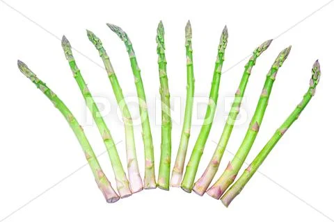 Asparagus Stock Photos