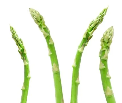 Asparagus Stock Photos