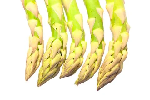 Asparagus Stock Photos