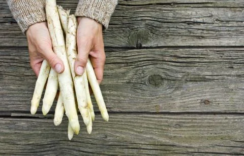 Asparagus Stock Photos