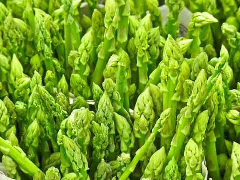 Asparagus Stock Photos