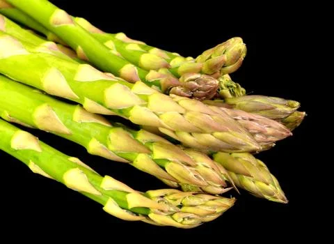 Asparagus Stock Photos