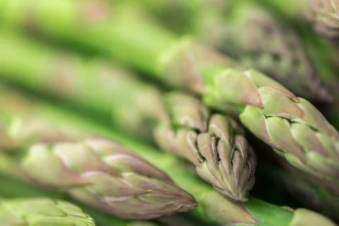 Asparagus Stock Photos