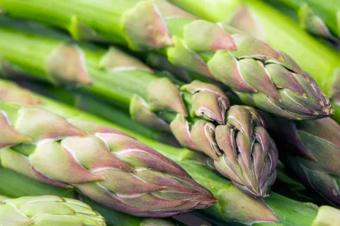 Asparagus Stock Photos