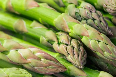 Asparagus 스톡 사진