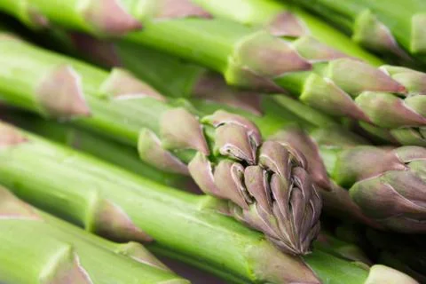 Asparagus Stock Photos