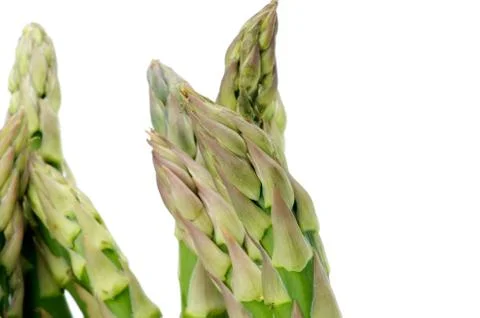 Asparagus Stock Photos