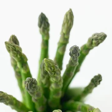 Asparagus Foto stock