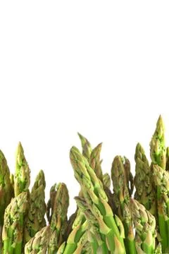 Asparagus Stock Photos