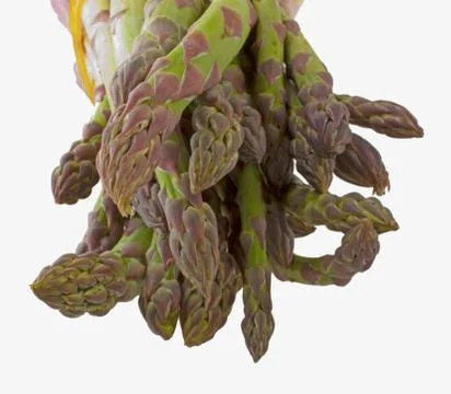 Asparagus Stock Photos