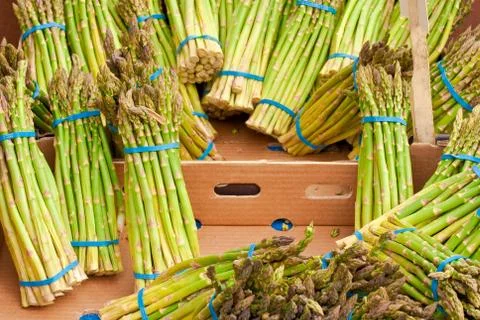 Asparagus Stock Photos