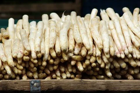 Asparagus Stock Photos