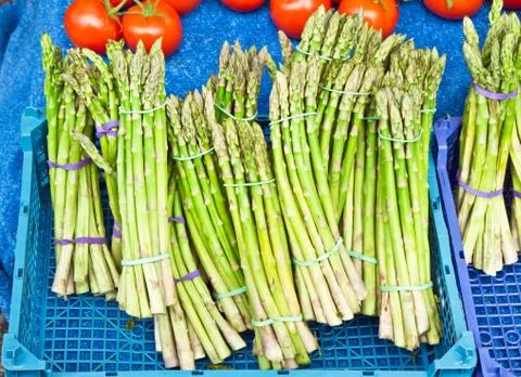 Asparagus Stock Photos
