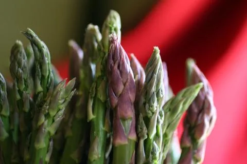 Asparagus Stock-Fotos