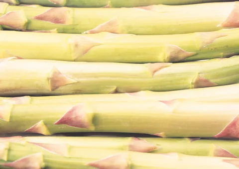 Asparagus Stock Photos