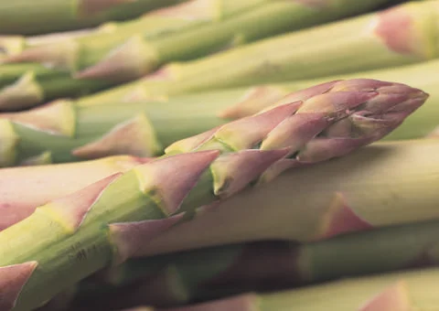 Asparagus Stock Photos