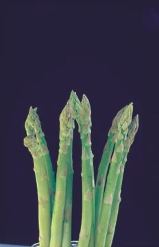 Asparagus Stock Photos