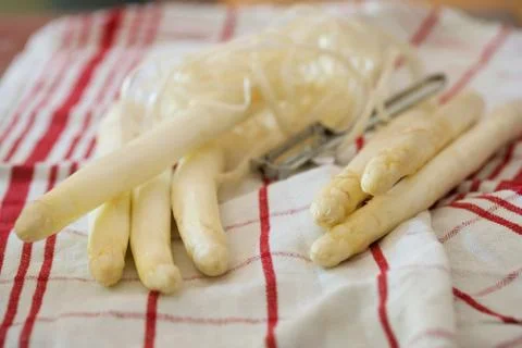 Asparagus Stock Photos