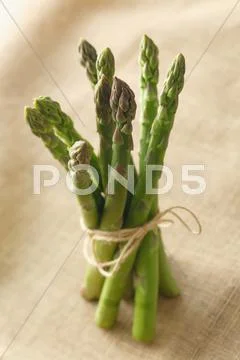Asparagus Stock Photos