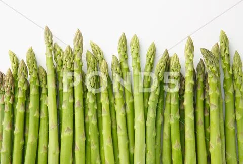 Asparagus Stock Photos