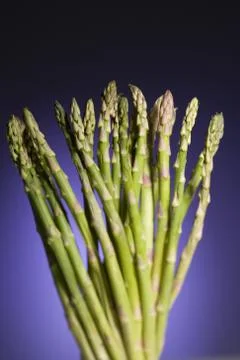 Asparagus Stock Photos
