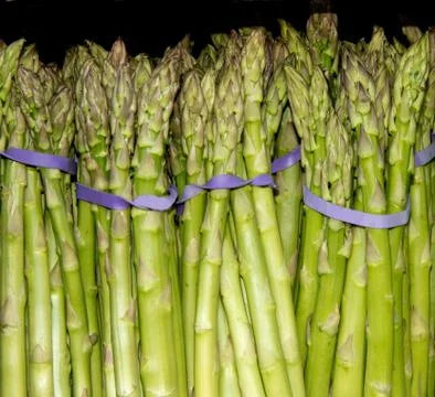 Asparagus Stock Photos