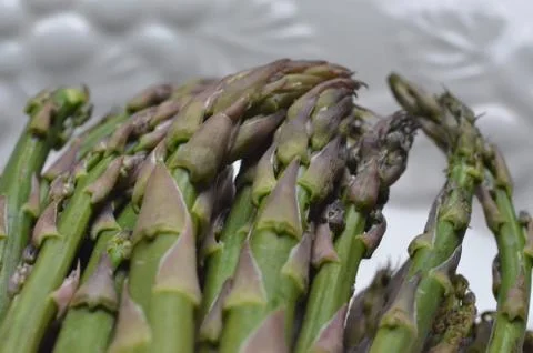 Asparagus Stock Photos