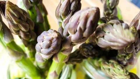 Asparagus Foto stock