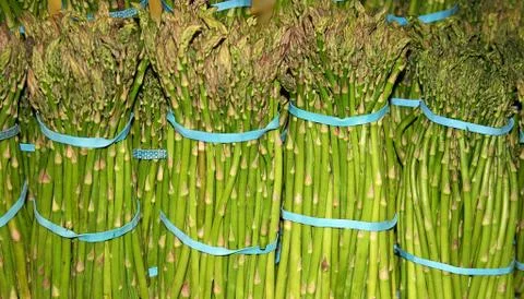 Asparagus 스톡 사진