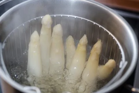 Asparagus in a pot Stock-Fotos