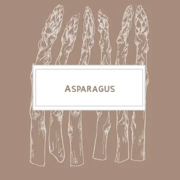 Asparagus with space for text 스톡 일러스트