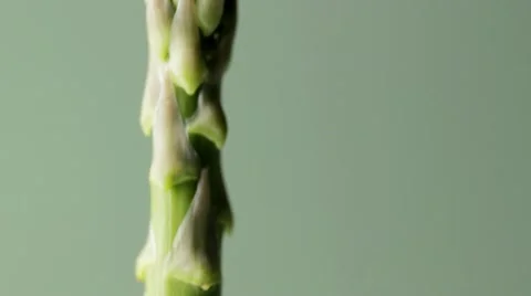 Asparagus Spear Track Video stock 12556999
