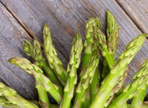 Asparagus Sprouts Stock Photos