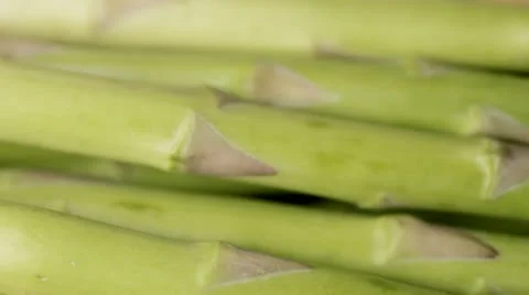 Asparagus Tracking Stock Footage 12556920
