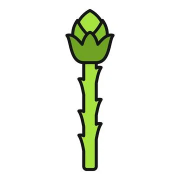 Asparagus vegetable flat design line art icon Stock Illustration