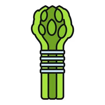 Asparagus vegetable growing bundle flat color icon Stock Illustration