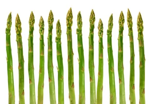 Asparagus vegetable Stock Illustration
