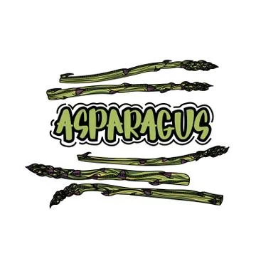 Asparagus vegetable stem vector illustration. Stock Illustration