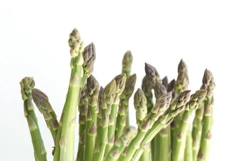Asparagus-on-white  Stock Photos