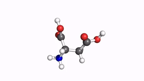 Aspartate molecule, rotating model 스톡 동영상 79799634