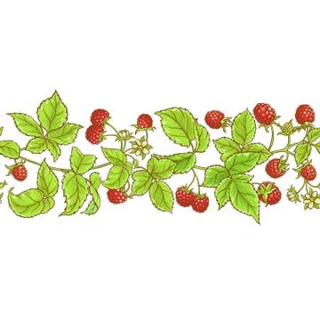 Aspberry branch vector pattern Stock Illustration