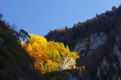 Aspe valley Stock Photos