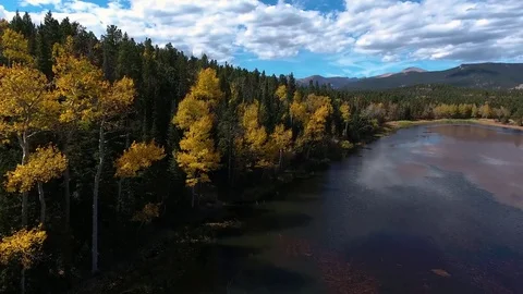 Aspen and Pine Fly Over Stock Footage 71965498