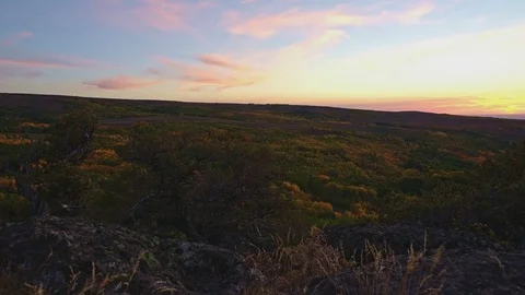 Aspen fall autumn sunset on the slopes of a desert mountain Steens Mountain near Stock Footage 81579583
