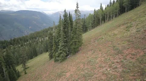 Aspen gondola ride down - side down view panorama Stock Footage