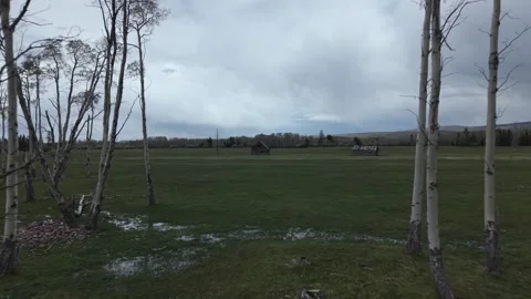 Aspen Grove and Rustic Barn on Wyoming Farmland Forward Push Stock Footage 335668441