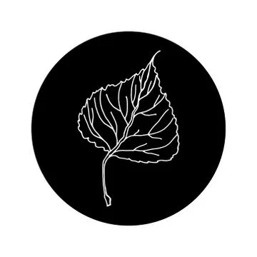 Aspen leaf editable icon in black rounded shape. Sketch hand drawn style Stock Illustration