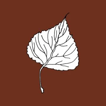 Aspen leaf editable icon, sketch hand drawn style illustration. Ready for Stock Illustration